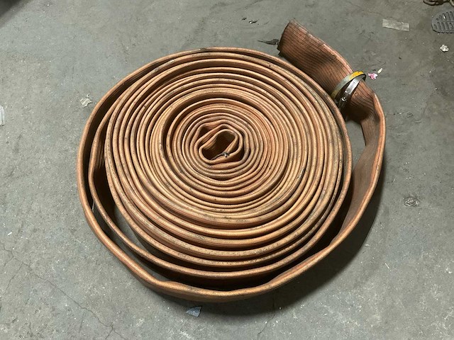 Slang - afbeelding 1 van  3