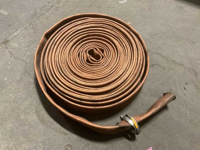 Slang - afbeelding 3 van  3