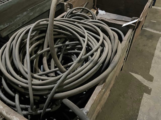 Slangen - afbeelding 3 van  9