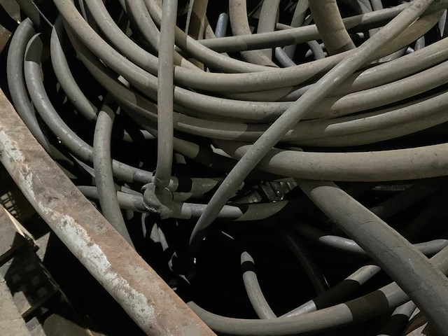 Slangen - afbeelding 4 van  9