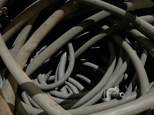 Slangen - afbeelding 6 van  9