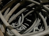 Slangen - afbeelding 6 van  9