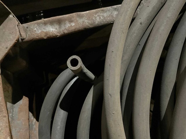 Slangen - afbeelding 7 van  9