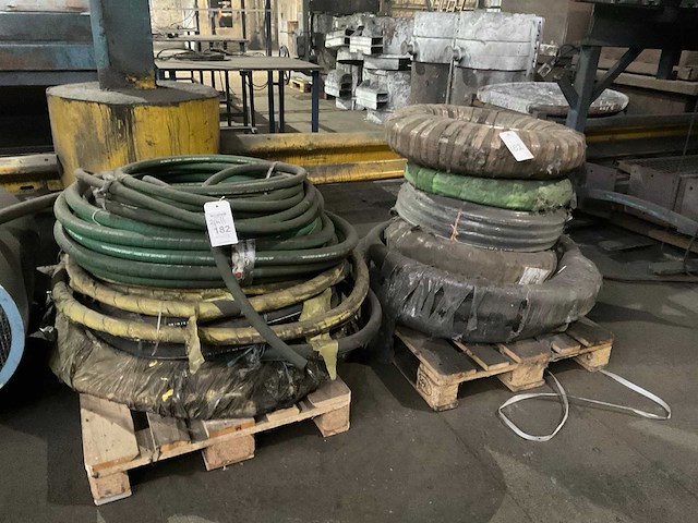 Slangen - afbeelding 1 van  11