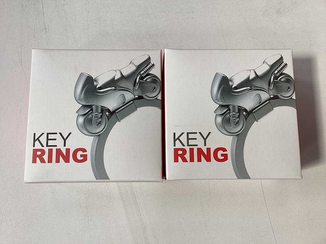 Sleutelring (250x) - afbeelding 1 van  2