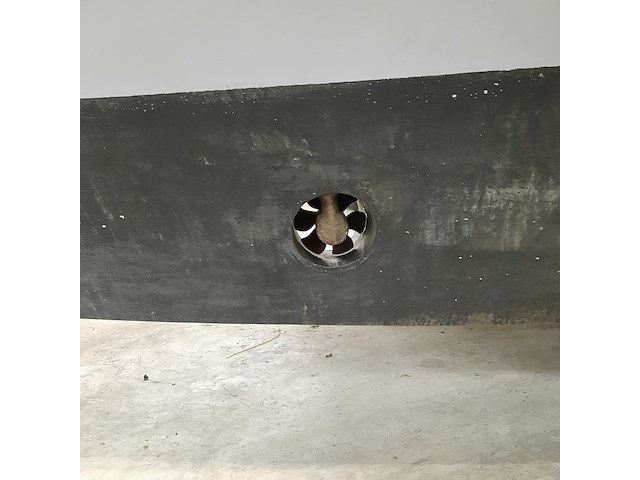 Sloep met bf50d honda buitenboordmotor , rand, mana 23, 2022 - afbeelding 37 van  50