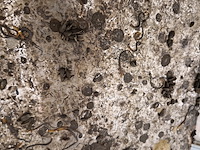 Sloep, oud huijzer, 720 - afbeelding 96 van  153