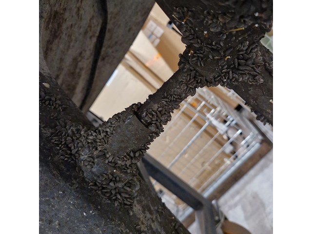 Sloep, oud huijzer, 720 - afbeelding 98 van  153