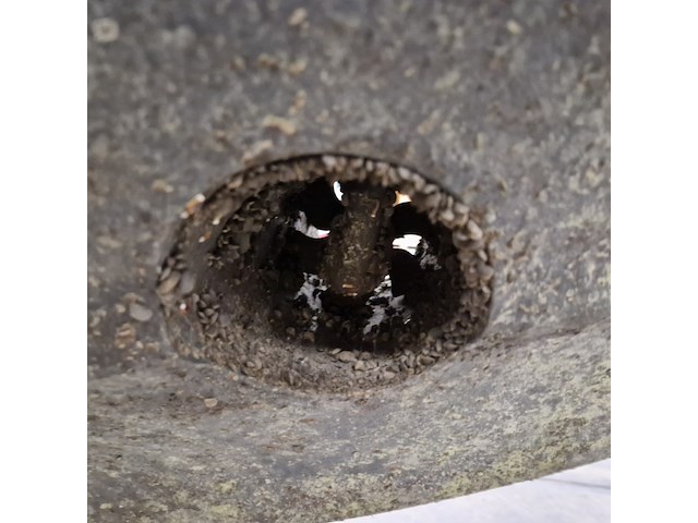 Sloep, oud huijzer, 720 - afbeelding 114 van  153