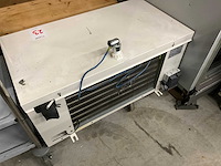 Smeva vriescel - afbeelding 5 van  13