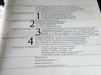 Snacks en canapés - afbeelding 3 van  5