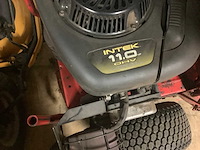 Snapper zitmaaier - afbeelding 4 van  4