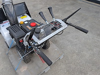 Sneeuwfrees, lumag, sfr-80, 2021 - afbeelding 21 van  21