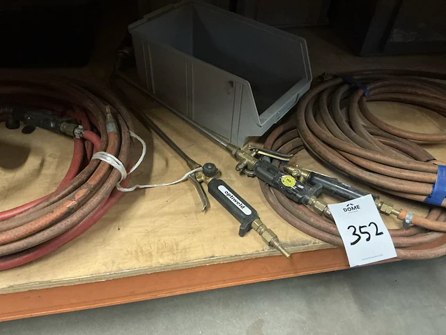 Snijbrander toorts - afbeelding 3 van  4
