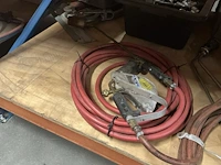 Snijbrander toorts - afbeelding 4 van  4