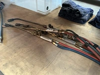 Snijbrander toorts - afbeelding 2 van  4