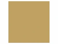 Snijfolie 50m x 61cm intercoat, 3800 serie gloss, 3896 gold - afbeelding 2 van  2