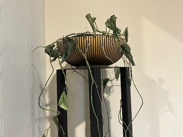 Sokkel / zuil (staal) - afbeelding 3 van  4