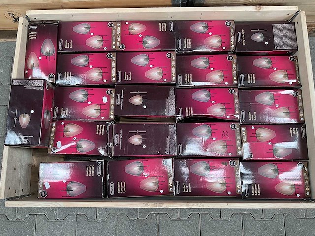 Solarverlichting en tuindecoratie (150x) - afbeelding 2 van  4