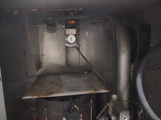 Solia palmer - afbeelding 2 van  12