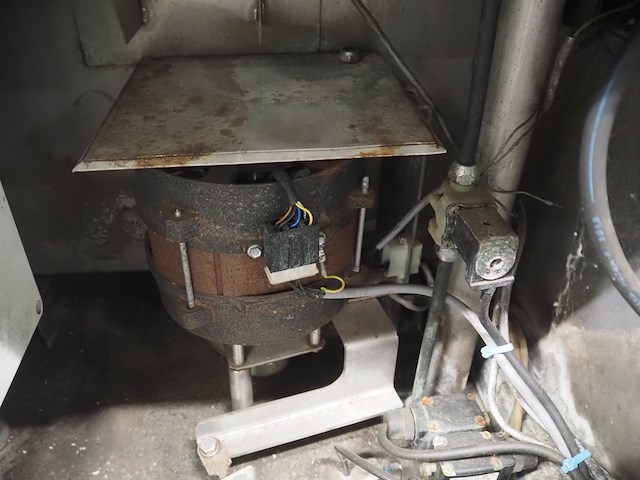 Solia palmer - afbeelding 12 van  12