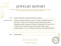 Solitair oorbellen entourage briljanten hoge kwaliteit - afbeelding 3 van  8