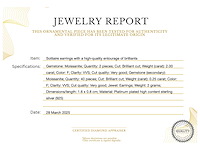 Solitair oorbellen met luxe entourage van hoge kwaliteit briljanten - afbeelding 3 van  7