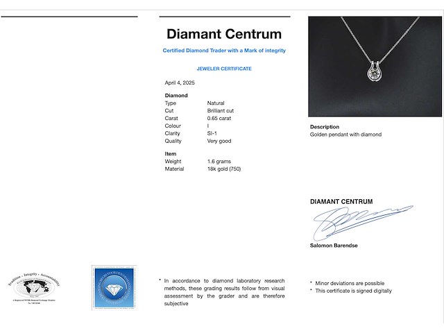 Solitaire hanger met een natuurlijke briljant geslepen diamant - afbeelding 3 van  8