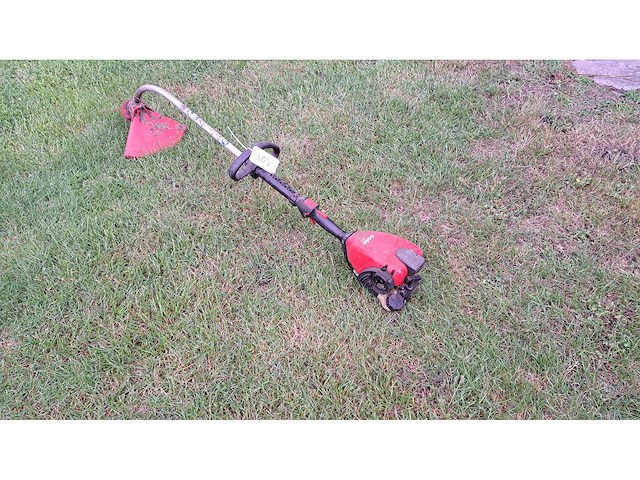 Solo - 117 - bosmaaier - afbeelding 1 van  2