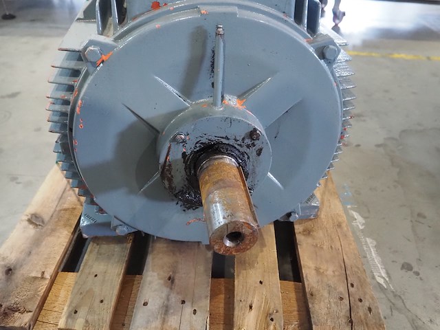 Sondermeier - afbeelding 5 van  6