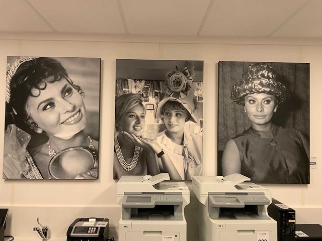 Sophia loren canvas (3x) - afbeelding 1 van  3