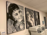Sophia loren canvas (3x) - afbeelding 2 van  3