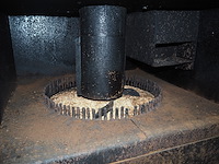 Sorgo - afbeelding 7 van  9