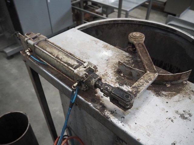 Sorgo - afbeelding 8 van  9