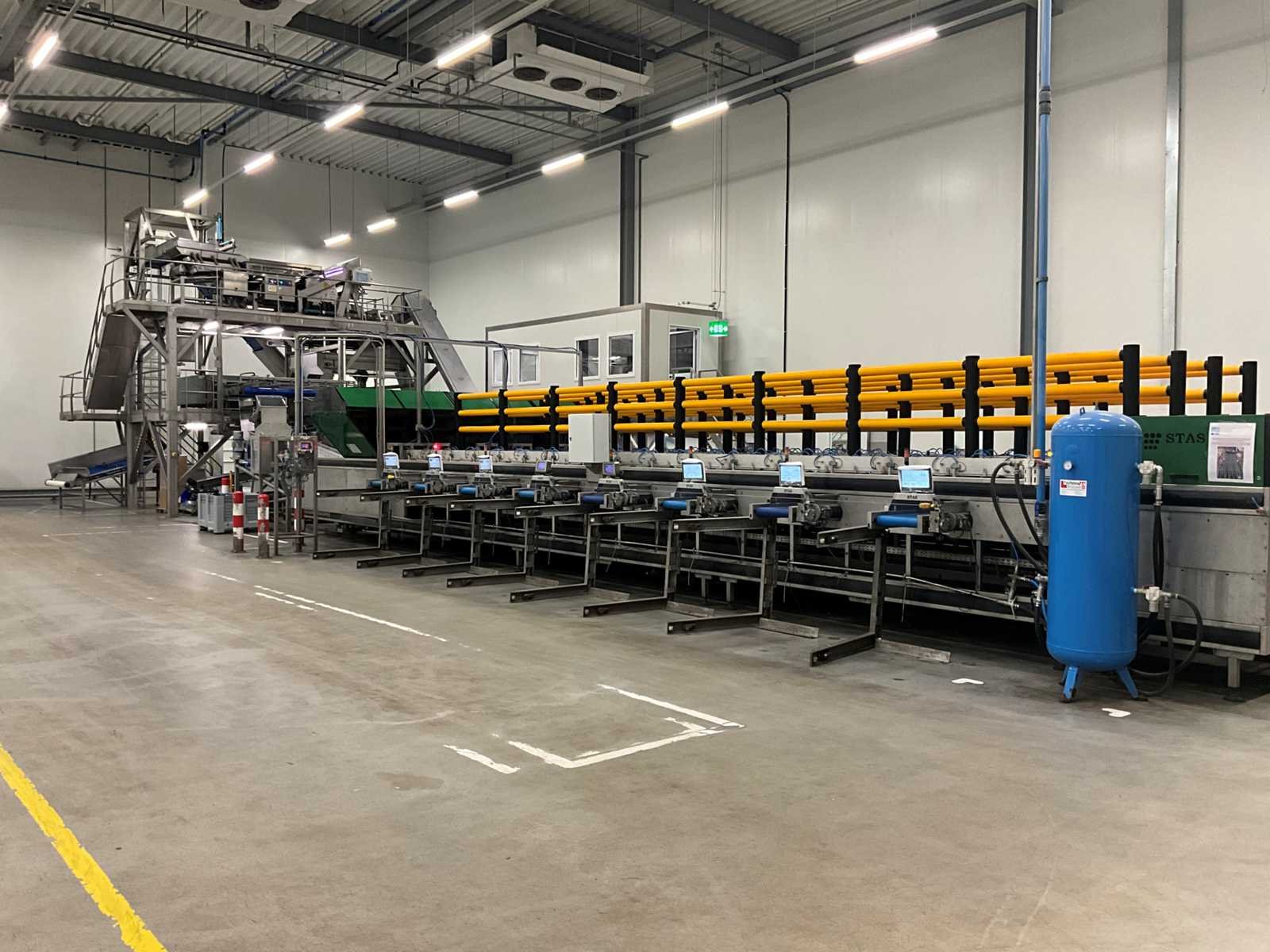 Sorteerlijnen voor de groenten- en fruitverwerkende industrie wegens bedrijfsbeëindiging kamps dinteloord