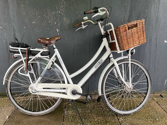 Sparta - pick up - transport met mand - elektrische fiets - afbeelding 1 van  8