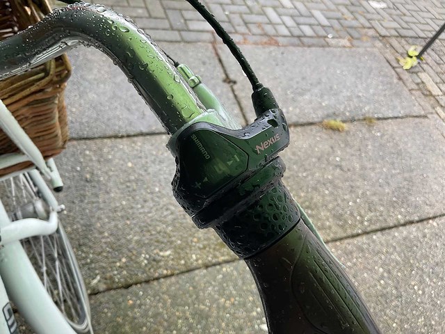 Sparta - pick up - transport met mand - elektrische fiets - afbeelding 6 van  8
