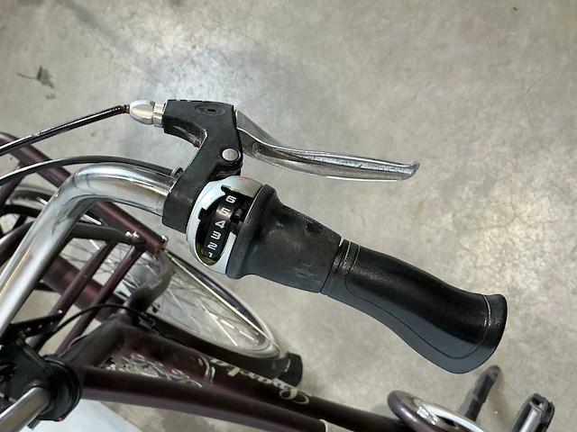 Sparta country four elektrische transportfiets - afbeelding 10 van  10