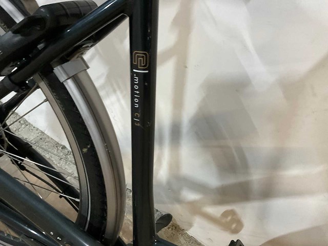 Sparta e motion c3 elektrische fiets - afbeelding 9 van  13