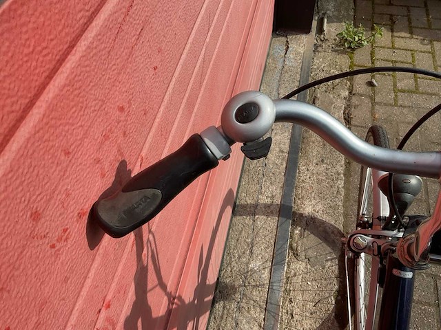 Sparta ion comfort elektrische fiets - afbeelding 5 van  7