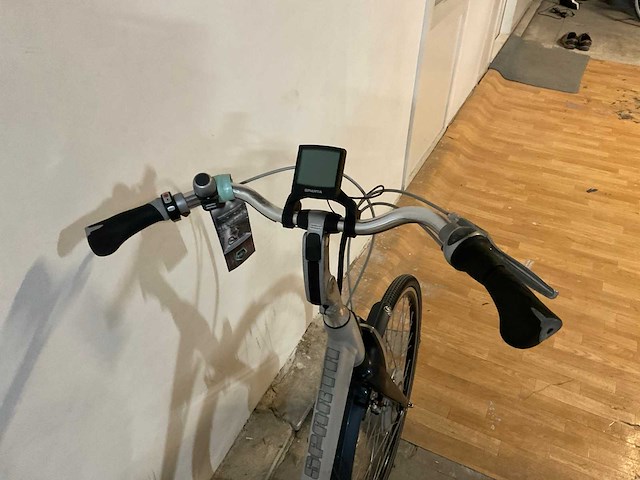 Sparta ion rx elektrische fiets - afbeelding 10 van  13
