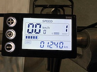 Sparta pickup elektrische damesfiets - afbeelding 4 van  7