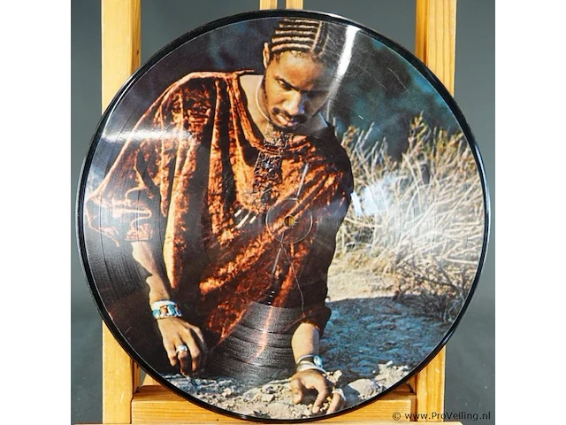 Speciale picture disc-vinylplaat met een portret van stevie wonder - afbeelding 3 van  3