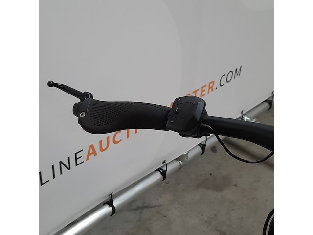 Speed pedelec, gazelle, ultimate speed 380 - afbeelding 14 van  17