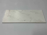 Sphinx - marmer wit - 20 x 50 cm - wandtegel - 12,6m2