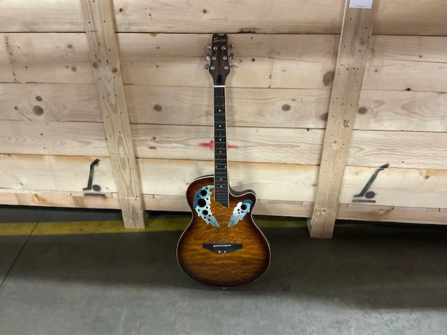 Spider gitaar - afbeelding 1 van  11