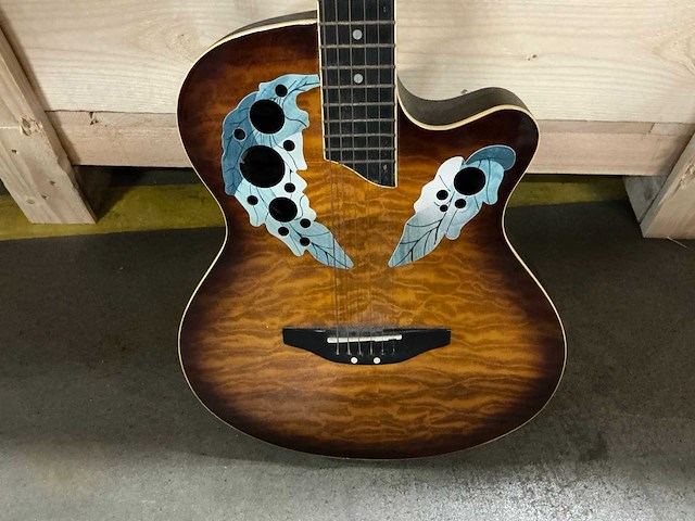 Spider gitaar - afbeelding 3 van  11