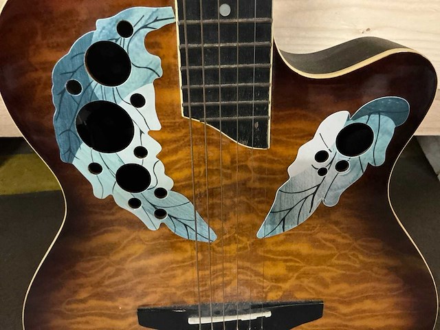 Spider gitaar - afbeelding 4 van  11