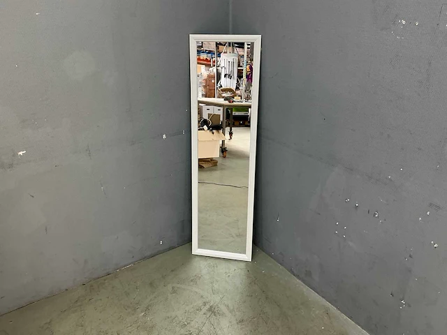 Spiegels 125x35 cm (11x) - afbeelding 3 van  3