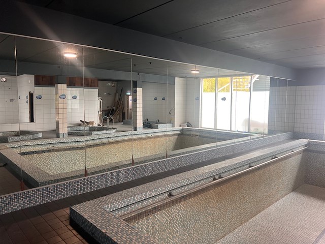 Spiegelwand, platen van 100 cm, spiegel - afbeelding 1 van  4